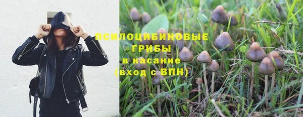 бутират Гусев