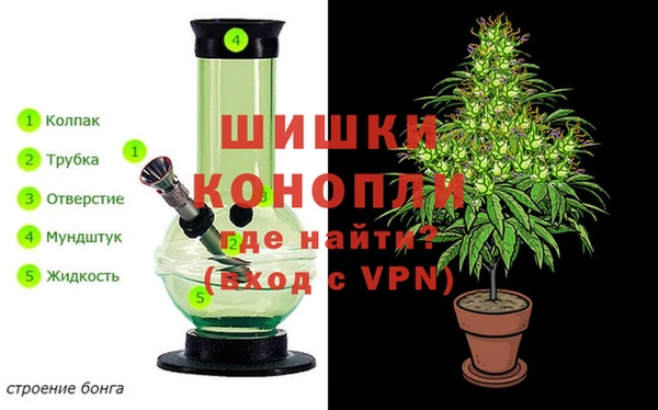 бутират Гусев