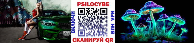 Купить где  Богучар  Галлюциногенные грибы GOLDEN TEACHER 